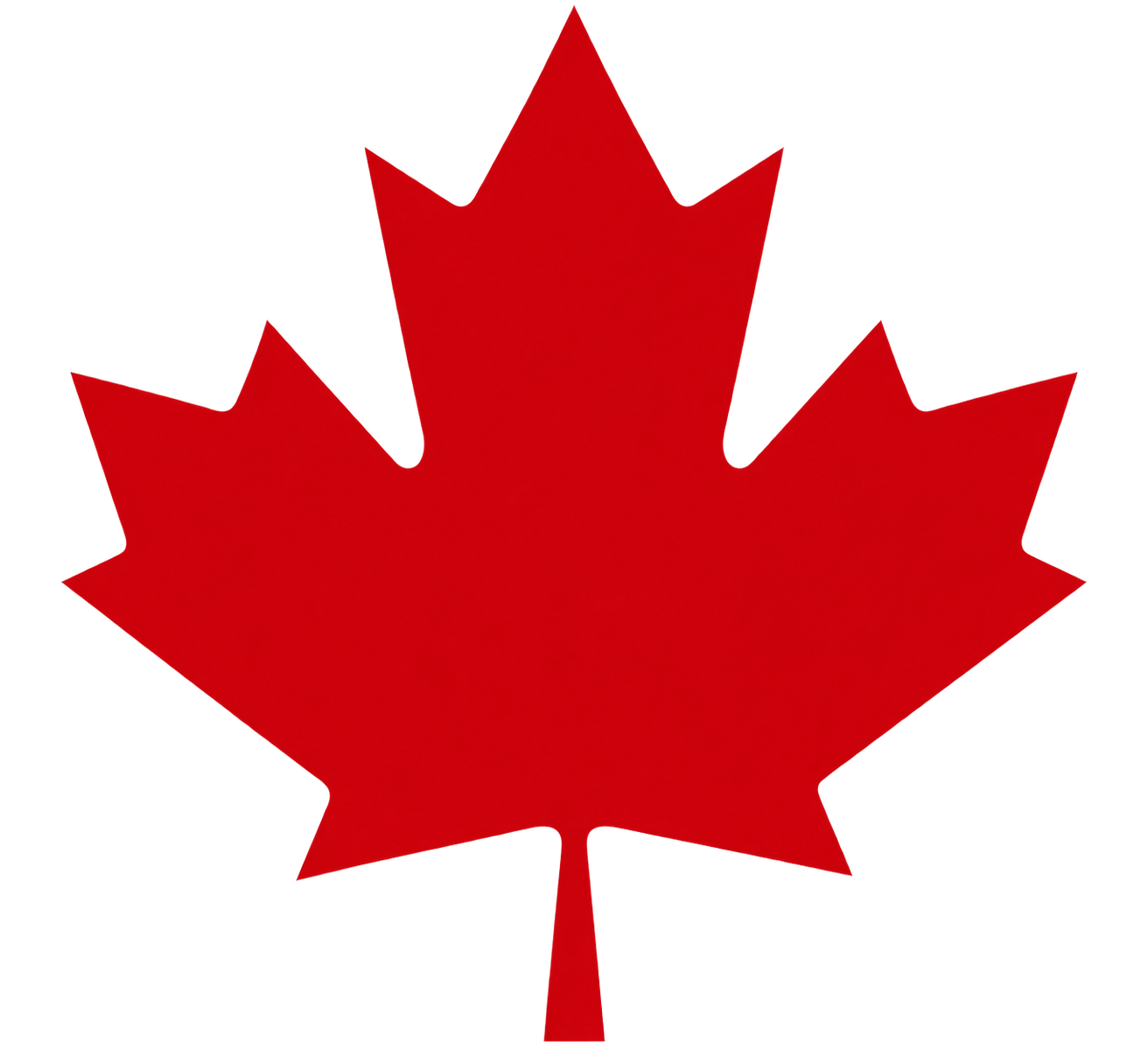 Red maple leaf